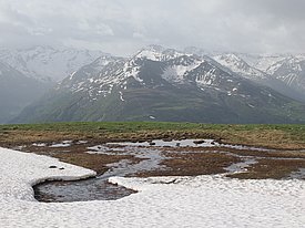 Schneeschmelze auf einer grün-braunen Bergwiese mit schneebedeckten Bergen im Hintergrund unter bewölktem Himmel