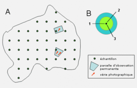 Schéma des éléments de suivi dans une réserve à suivi extensif. A: Vue d’ensemble de toute la réserve. B: Cercles d’échantillons et transects linéaires. 