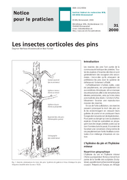 Les insects corticoles des pins