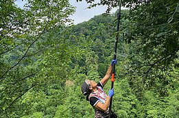 A person wearing gloves and a hat is using a long pole to reach up and trim branches from a tree in a forested area. Lush green trees and a hillside are visible in the background, indicating a rural, natural setting.