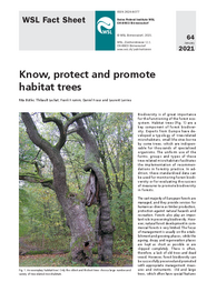 Know, protect and promote habitat trees