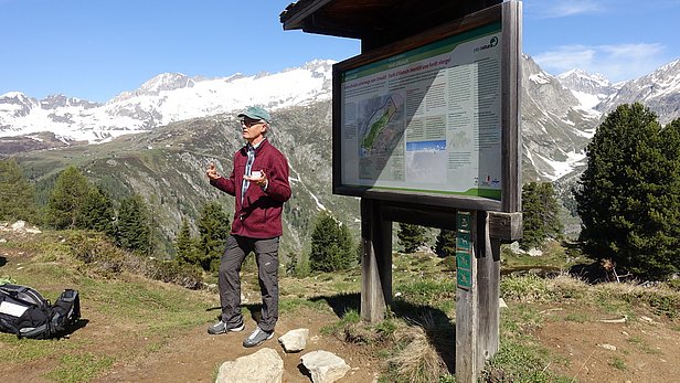 Mann steht neben einer großen Informationstafel im Aletschwald, umgeben von Bergen und Nadelbäumen unter blauem Himmel.