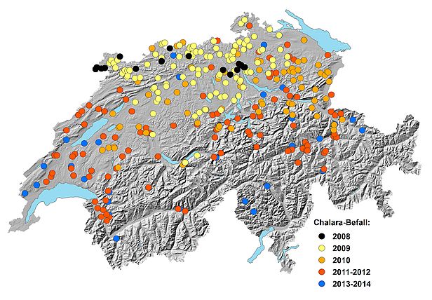 Abb. 2: Verbreitungskarte des Eschentriebsterbens in der Schweiz. Karte: Waldschutz Schweiz (WSL)