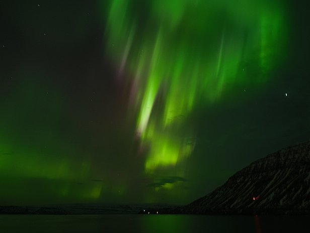 Das Bild zeigt das Nordlicht, das mit leuchtenden grünen und lila Farbtönen über einem dunklen Himmel tanzt. Die Farben sind dynamisch und scheinen sich zu bewegen, während der Horizont teilweise von einem dunklen Berg silhouettiert wird.