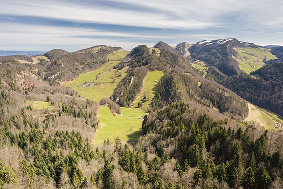 Der grösste Teil der Schweizer Waldfläche befindet sich in Hanglagen wie hier im Solothurner Jura. Je steiler die Hangneigung ist, desto aufwändiger ist die Waldbewirtschaftung.
