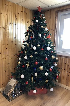 EinWeihnachtsbaum steht in einem Raum mit Holzwänden. Er ist üppig geschmückt mit bunten Kugeln, goldenen Sternen und einer roten Spitze. Unter dem Baum befindet sich eine dekorierte Box. 
