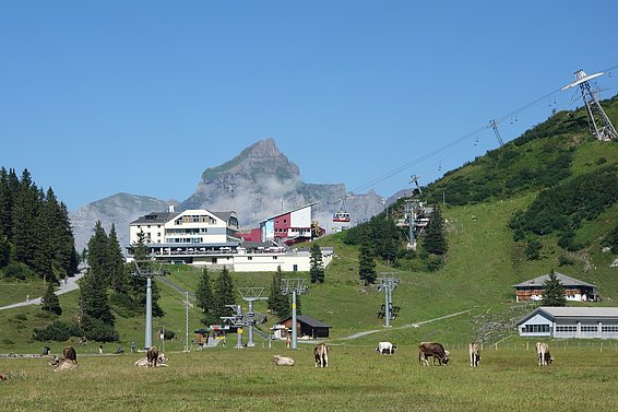 Regionale Entwicklungsträger müssen verschiedenen Interessen und Ansprüche an den Raum koordinieren. (Bild: Gero Nischik) 