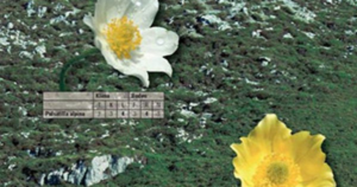 Flora indicativa