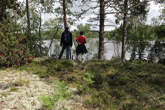 Erholungssuchende in einem Föhrenmischwald in Südschweden