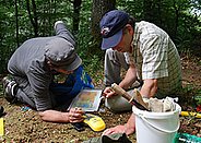 Field work. Photo: Christian Rellstab (WSL)