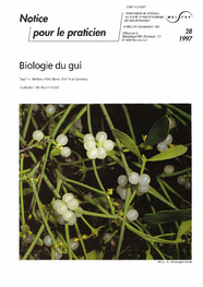Biologie du gui