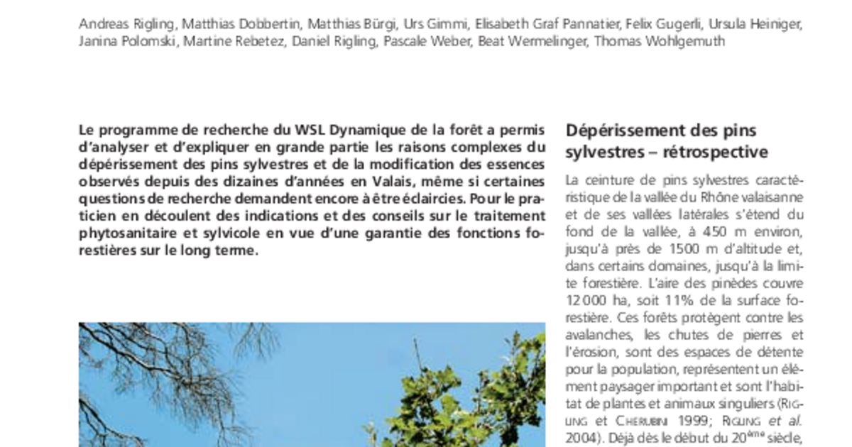 Les chênes pubescents chassent-ils les pins sylvestres valaisans?