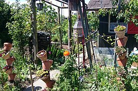 Vielfältige Familiengärten sind Lebensraum für zahlreiche Pflanzen und Tiere und gleichzeitig ein Naherholungsraum für in der Stadt wohnende Menschen.