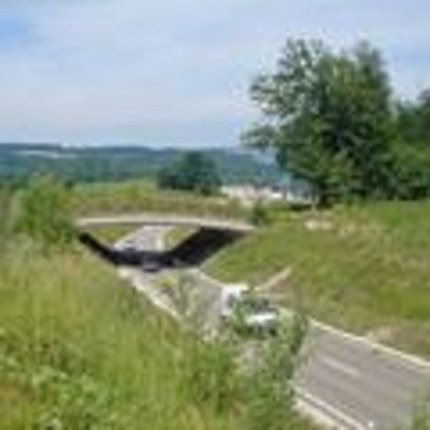 Grünbrücke Risi beim Ramerenwald