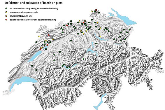 Karte mit den untersuchten 75 Stichprobeflächen. 