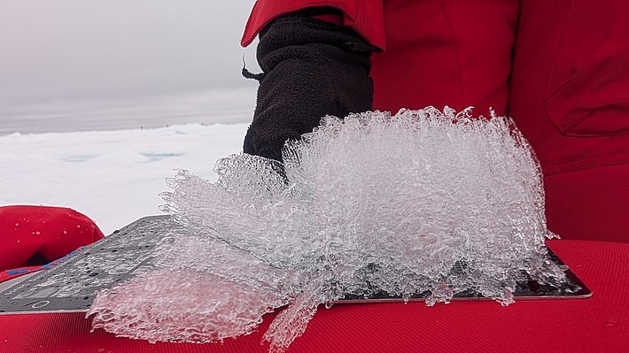 Eine Hand in schwarzer Handschuh mit rotem Ärmel hält ein schwarzes, flaches Objekt, das mit einer Schicht aus klarem, gefrorenem Wasser bedeckt ist. Im Hintergrund sind schneebedeckte Flächen sichtbar.