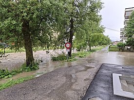 Eine Überschwemmung zeigt einen überfluteten Bereich entlang einer Straße, umgeben von Bäumen. Auf der einen Seite steht ein Verbotsschild, während auf der anderen Seite eine unzugängliche Fläche sichtbar ist. Der Boden ist stark mit Wasser bedeckt.