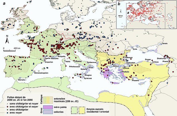 Mosaïque romain avec noix