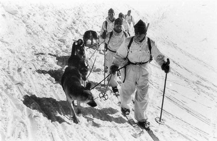 A group of skiers in deep snow. Each skier has an avalanche dog on a leash.