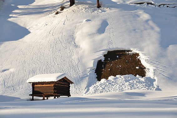 Gleitschneelawine an einem schneebedeckten Hang bei Frauenkirch, mit freigelegtem Erdboden und einem kleinen Holzschuppen im Vordergrund