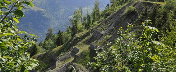 Successful slope stabilisation using a combination of plants and gabions in the Hexenrübi area, Dallenwil-Wirzweli. Image: SLF/Frank Graf