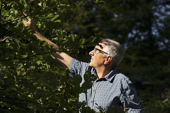 Thomas Wohlgemuth begutachtet eine Buche, die nach dem Orkan Lothar 1999 gewachsen ist. Foto: Gottardo Pestalozzi
