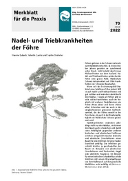 Nadel- und Triebkrankheiten der Föhre