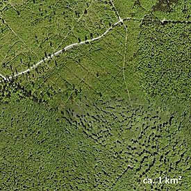 Landschaftsausschnitte des Hainich im deutschen Bundesland Thüringen. 