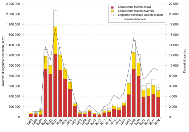 Il grafico a barre mostra la quantità di legno infestato dai coleotteri in metri cubi e il numero di focolai di infestazione dal 1998 al 2024. Le barre rosse indicano gli abbattimenti obbligatori estivi, quelle gialle quelli invernali, quelle bianche il legno infestato lasciato in piedi. La linea mostra il numero di focolai di infestazione con picchi nel 2003 e nel 2019.