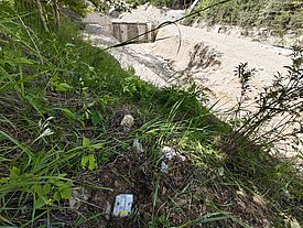 Ein in der Erde versenktes Geofon ist im Vordergrund zu sehen. Im Hintergrund sieht man eine Wildbachsperre.