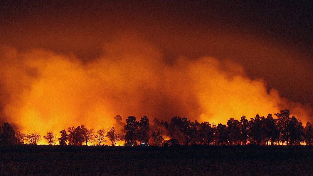 A forest at night, with red-orange flames glowing and illuminating the smoke against the sky.