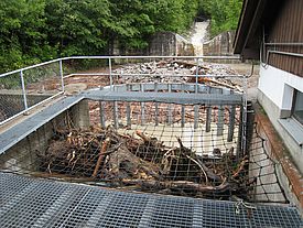 Angeschwemmtes Holz hat sich im Rechen der Geschiebesammelanlage im Erlenbach abgelagert. Es besteht etwa zu 50 Prozent aus Kohlenstoff, der aus dem Kohlendioxid aus der Atmosphäre stammt. (Foto: Christian Rickli/WSL)