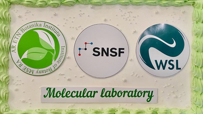 Das Bild zeigt eine Kuchenoberfläche mit drei Logos unterschiedlicher Organisationen: des Botanischen Instituts, SNSF und WSL. In der Mitte steht der Schriftzug "Molecular laboratory" in grüner Schrift. Der Hintergrund ist mit einer grünen Umrandung dekoriert.