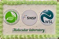 The image features a celebratory cake decorated with green icing, displaying three logos: the Botanical Institute, the Swiss National Science Foundation (SNSF), and the Swiss Federal Institute for Forest, Snow and Landscape Research (WSL). The text "Molecular laboratory" is prominently written in green.