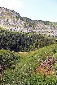 Entwaesserungsgraben Gross Moos Schwaendtal