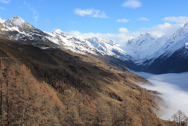 Overlooking the coniferous forests near Ferden in the Lötschental (canton of Valais)