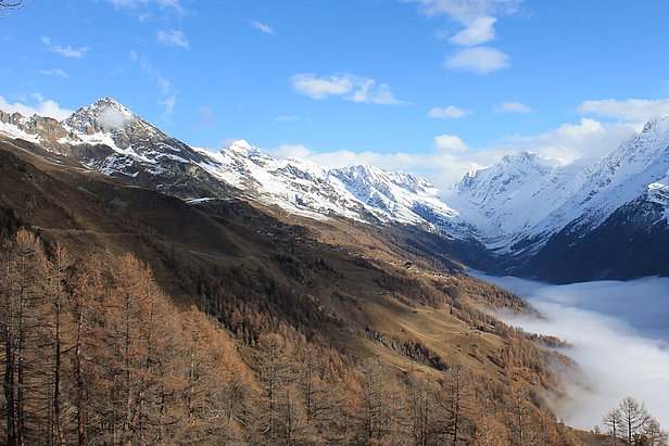 Überblick über die Nadelwälder bei Ferden im Lötschental (Kanton Wallis)
