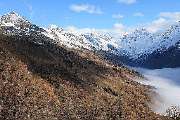 Panoramica sui boschi di conifere a Ferden nella Lötschental.