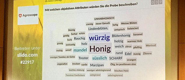 Rund 100 Konferenzteilnehmende beschreiben, was sie beim Riechen und Schmecken der neuen Grappa wahrnehmen.