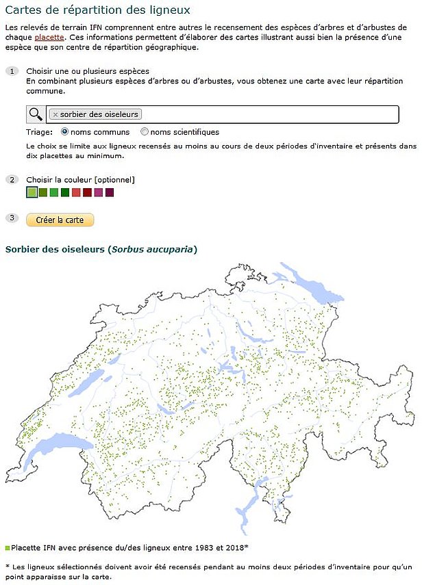 Capture d'écran de la carte de répartition du sorbier des oiseleurs.