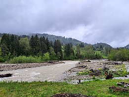 Ein brauner Fluss Fluss fließt durch eine grüne Landschaft, umgeben von dichten Wäldern und sanften Hügeln. Der Himmel ist bewölkt und es ist regnerisch. Am Ufer liegen einige Baumstämme und der Boden ist mit Gras bedeckt.