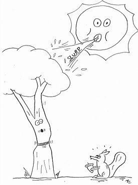 Tagsüber geben Bäume mehr Wasserdampf über die Blätter ab als sie zeitgleich über die Wurzeln aufnehmen können. Die Wasserspeicher entlang des Stammes leeren sich, der Stamm zieht sich zusammen. Nachts nehmen die Wurzeln Wasser auf und der Stamm dehnt sich wieder aus. (Zeichnung: Jente Ottenburghs)