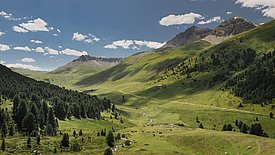 Grünes Tal mit verstreuten Bäumen, einem kleinen Bach und weidenden Pferden unter bewölktem Himmel und Bergen im Hintergrund