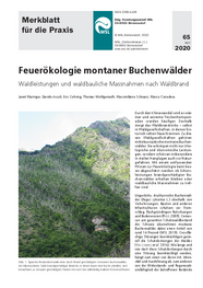 Feuerökologie montaner Buchenwälder