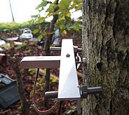  An automatic dendrometer measuring radial stem growth of a truffle host tree. Photo: Ulf Büntgen (WSL) 