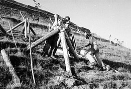 Zwei Männer errichten auf einem steilen Hang eine Konstruktion aus dicken Holzstämmen