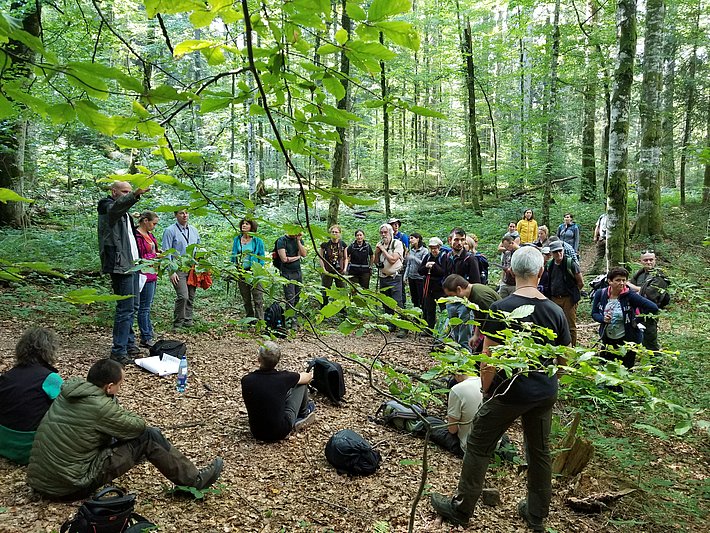 An den Exkursionen wird viel diskutiert. Wie soll man Monitoringflächen in Urwäldern und Waldreservaten anlegen: eher wenige grosse oder lieber viele kleine? Wie können wir die Flächen so dokumentieren, dass Folgeinventuren in 10, 50 oder 100 Jahren an den heutigen Baumdaten anknüpfen können und statistisch aussagefähige Ergebnisse liefern? (Foto: Peter Brang, WSL)