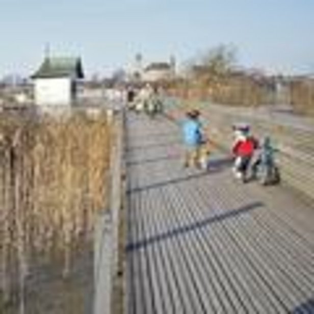 Neuer Fussgängersteg bei Rapperswil.