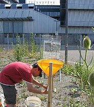 Feldarbeiten. (Bild: WSL)