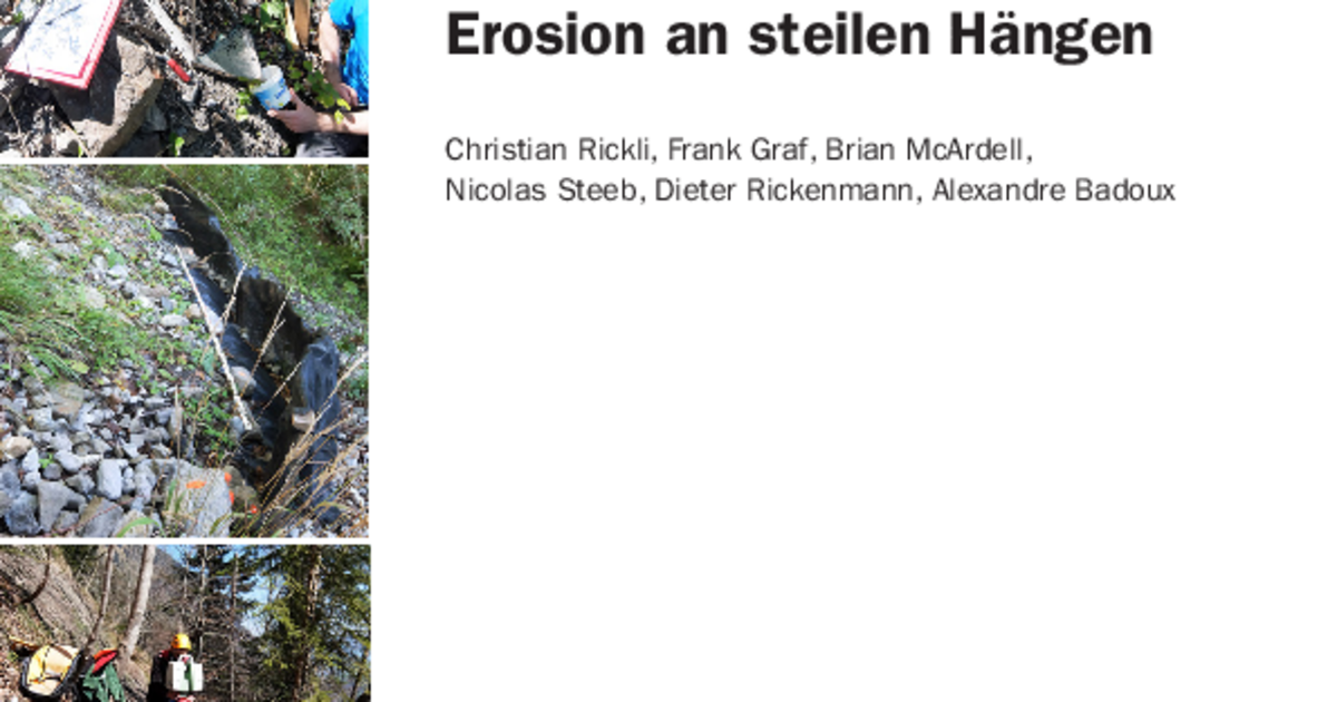 Laura Rickenmann Erosion an steilen Hängen